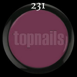 Topnails UV Gel Pastel premium 5g 231