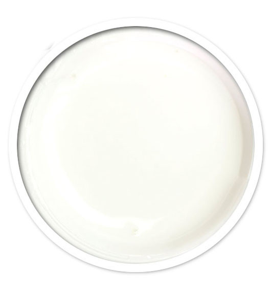 ANPRO Gel White 15ml
