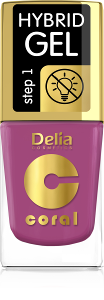 Delia Cosmetic Lak Hybrid gel 11ml 70