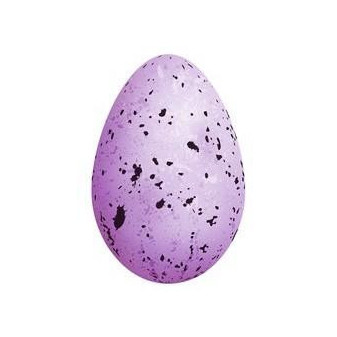 Topnails UV Gel barevný  5g Crazy Egg Violet