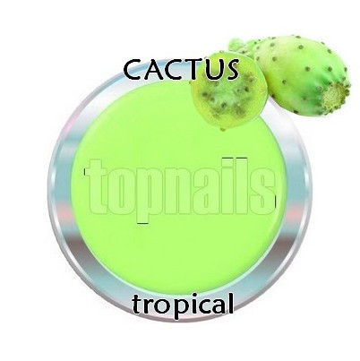 Topnails UV Gel Tropical Fruit 5g Cactus